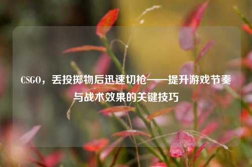 CSGO,丢投掷物后迅速切枪——提升游戏节奏与战术效果的关键技巧
