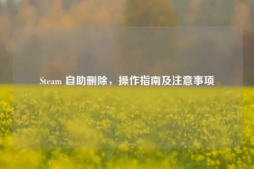 Steam 自助删除,操作指南及注意事项