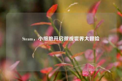 Steam,小细胞开启微观世界大冒险