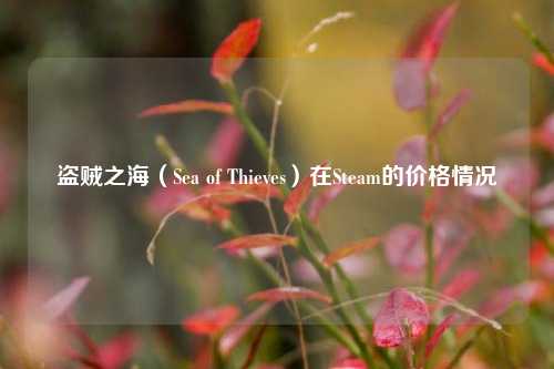 盗贼之海(Sea of Thieves)在Steam的价格情况