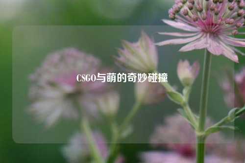 CSGO与萌的奇妙碰撞