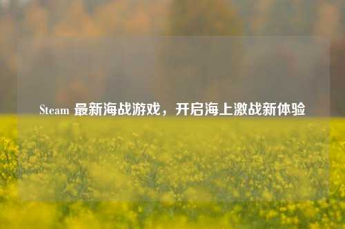 Steam 最新海战游戏,开启海上激战新体验