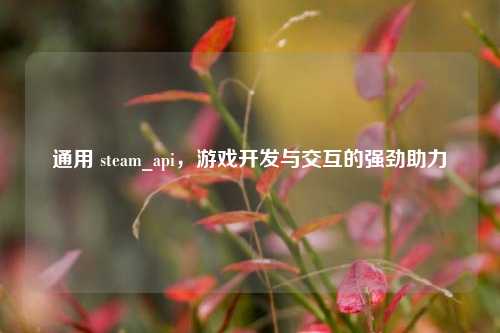 通用 steam_api,游戏开发与交互的强劲助力