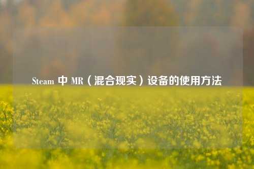 Steam 中 MR(混合现实)设备的使用 ***
