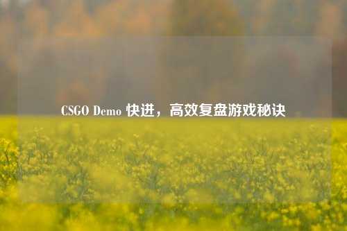 CSGO Demo 快进,高效复盘游戏秘诀