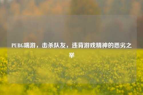 PUBG端游,击杀队友,违背游戏精神的恶劣之举