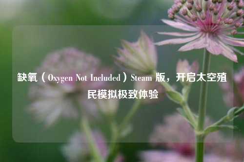 缺氧(Oxygen Not Included)Steam 版,开启太空殖民模拟极致体验