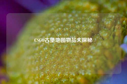 CSGO古堡地图物品大探秘