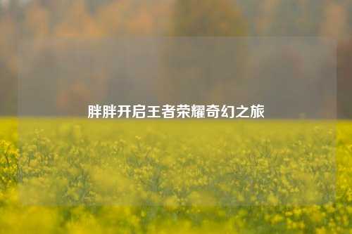 胖胖开启王者荣耀奇幻之旅