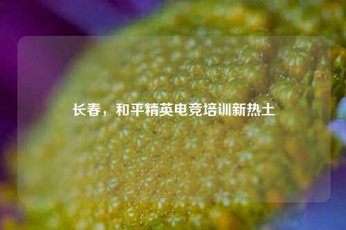 长春,和平精英电竞培训新热土