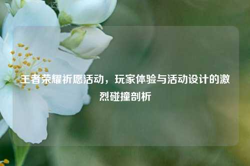 王者荣耀祈愿活动,玩家体验与活动设计的激烈碰撞剖析