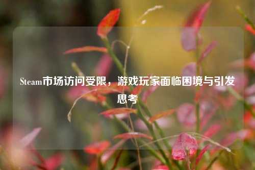 Steam市场访问受限,游戏玩家面临困境与引发思考