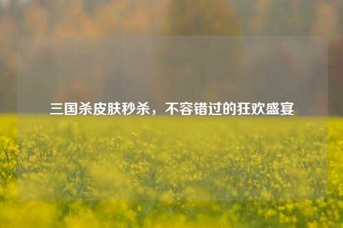 三国杀皮肤秒杀,不容错过的狂欢盛宴