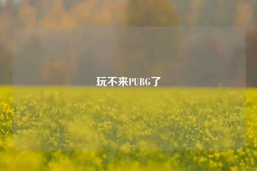 玩不来PUBG了