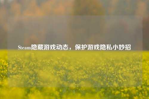 Steam隐藏游戏动态,保护游戏隐私小妙招