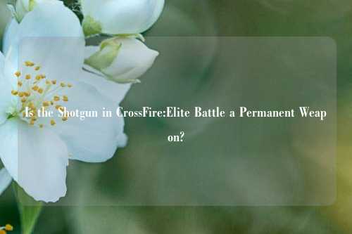 Is the Shotgun in CrossFire:Elite Battle a Permanent Weapon?