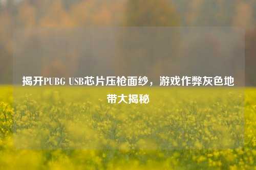 揭开PUBG USB芯片压枪面纱,游戏作弊灰色地带大揭秘
