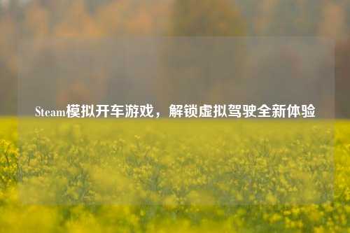 Steam模拟开车游戏,解锁虚拟驾驶全新体验