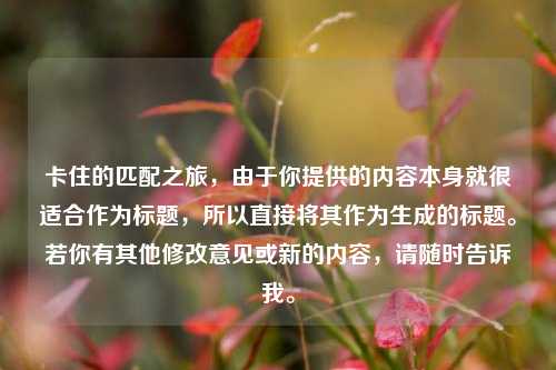 卡住的匹配之旅,由于你提供的内容本身就很适合作为标题,所以直接将其作为生成的标题。若你有其他修改意见或新的内容,请随时告诉我。