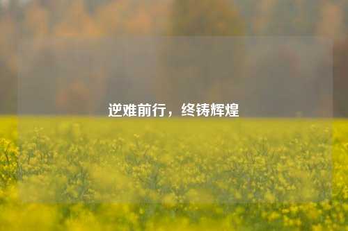 逆难前行,终铸辉煌