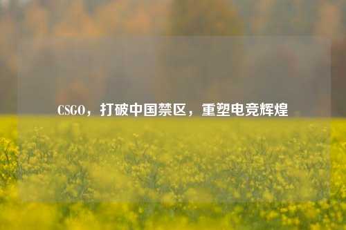 CSGO,打破中国禁区,重塑电竞辉煌