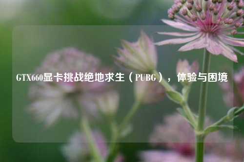 GTX660显卡挑战绝地求生(PUBG),体验与困境