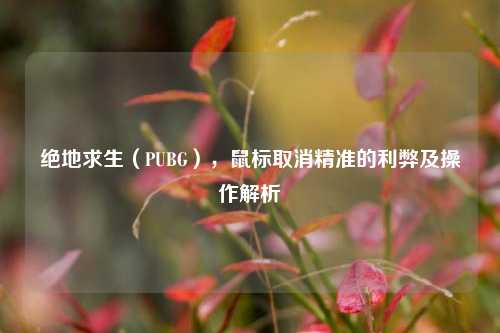 绝地求生(PUBG),鼠标取消精准的利弊及操作解析