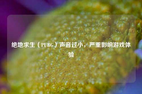 绝地求生(PUBG)声音过小,严重影响游戏体验