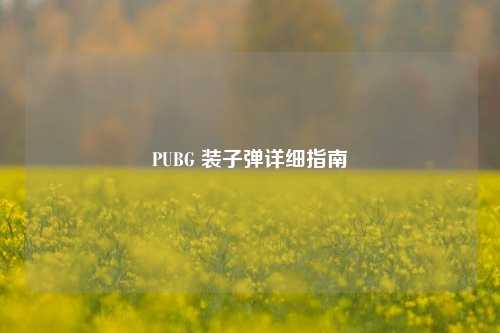 PUBG 装子弹详细指南