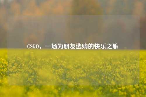 CSGO,一场为朋友选购的快乐之旅