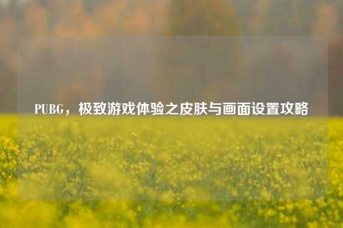 PUBG,极致游戏体验之皮肤与画面设置攻略