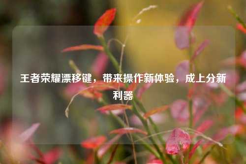 王者荣耀漂移键,带来操作新体验,成上分新利器