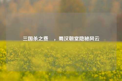 三国杀之费祎,蜀汉朝堂隐秘风云