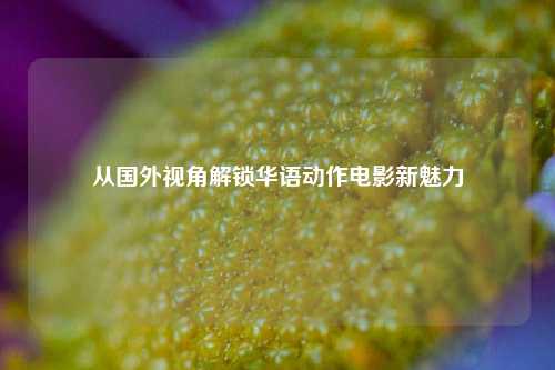 从国外视角解锁华语动作电影新魅力