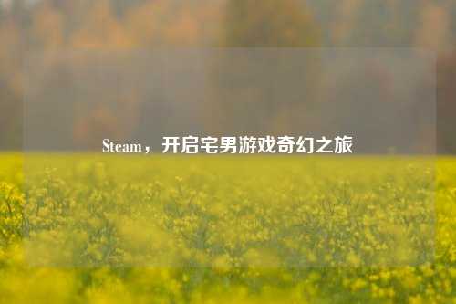 Steam,开启宅男游戏奇幻之旅