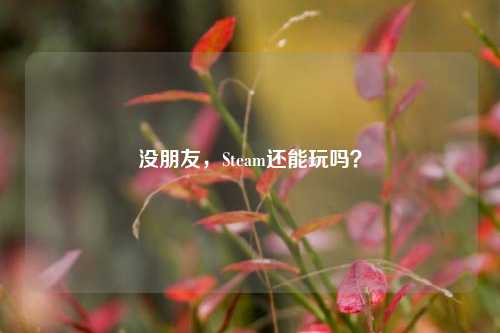 没朋友,Steam还能玩吗?