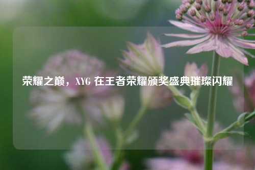 荣耀之巅,XYG 在王者荣耀颁奖盛典璀璨闪耀