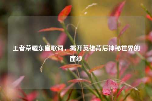 王者荣耀东皇歌词,揭开英雄背后神秘世界的面纱