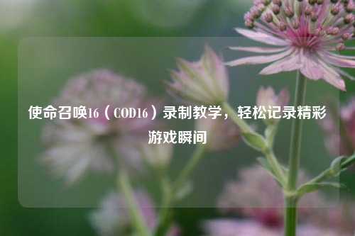 使命召唤16(COD16)录制教学,轻松记录精彩游戏瞬间