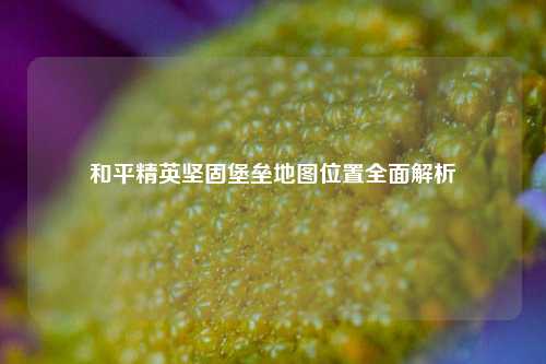 和平精英坚固堡垒地图位置全面解析
