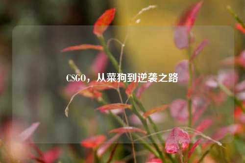 CSGO,从菜狗到逆袭之路
