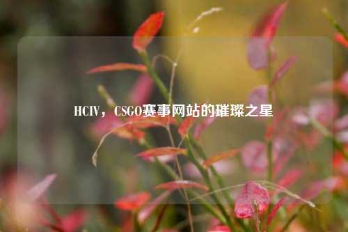 HCIV,CSGO赛事网站的璀璨之星