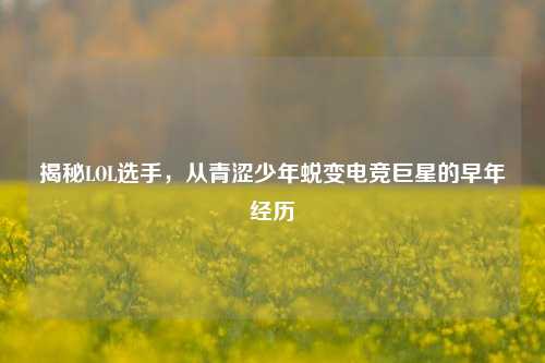 揭秘LOL选手,从青涩少年蜕变电竞巨星的早年经历