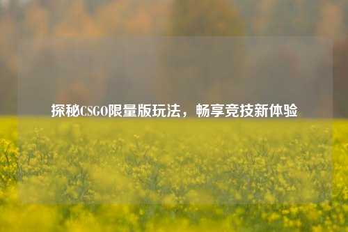 探秘CSGO***版玩法,畅享竞技新体验