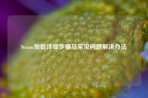 Steam加载详细步骤及常见问题解决办法