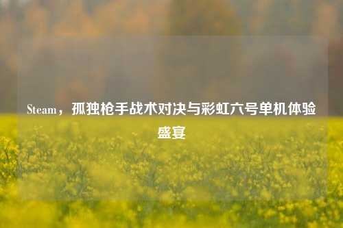 Steam,孤独***战术对决与彩虹六号单机体验盛宴