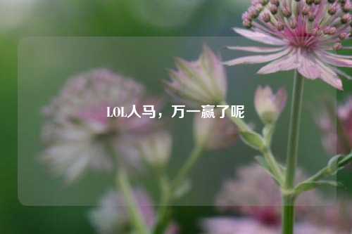 LOL人马,万一赢了呢