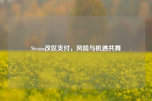 Steam改区支付,风险与机遇共舞