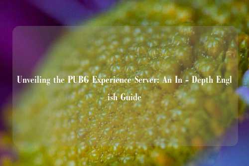 Unveiling the PUBG Experience Server: An In - Depth English Guide