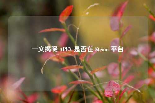 一文揭晓 APEX 是否在 Steam 平台